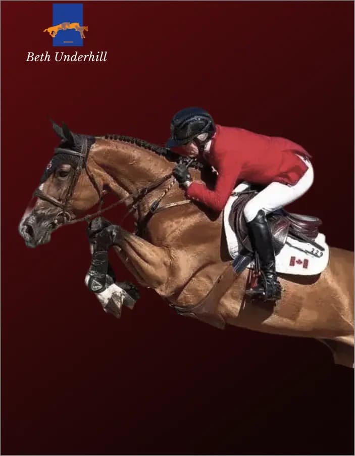Official website for show jumping star artwork