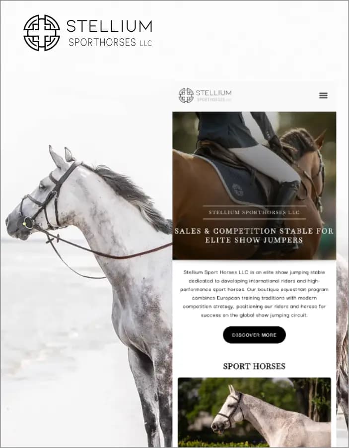 Equestrian riders website artwork