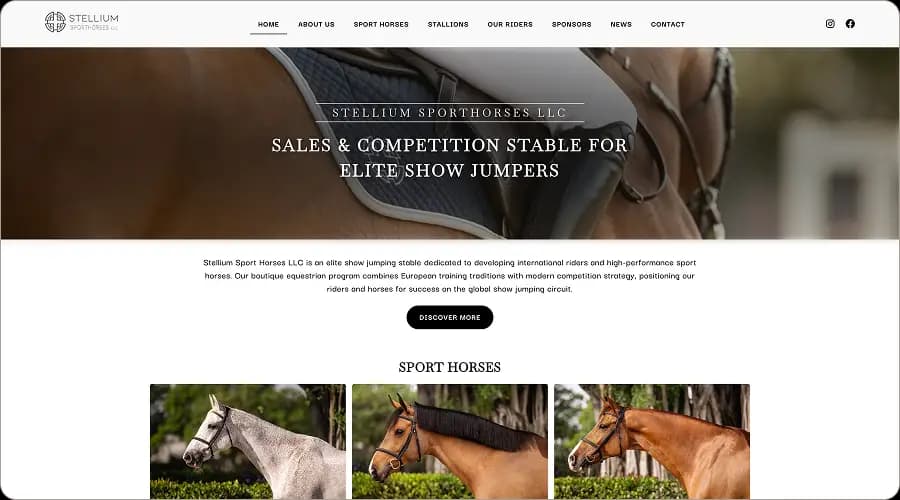 Stellium Sporthorses – screenshot 1