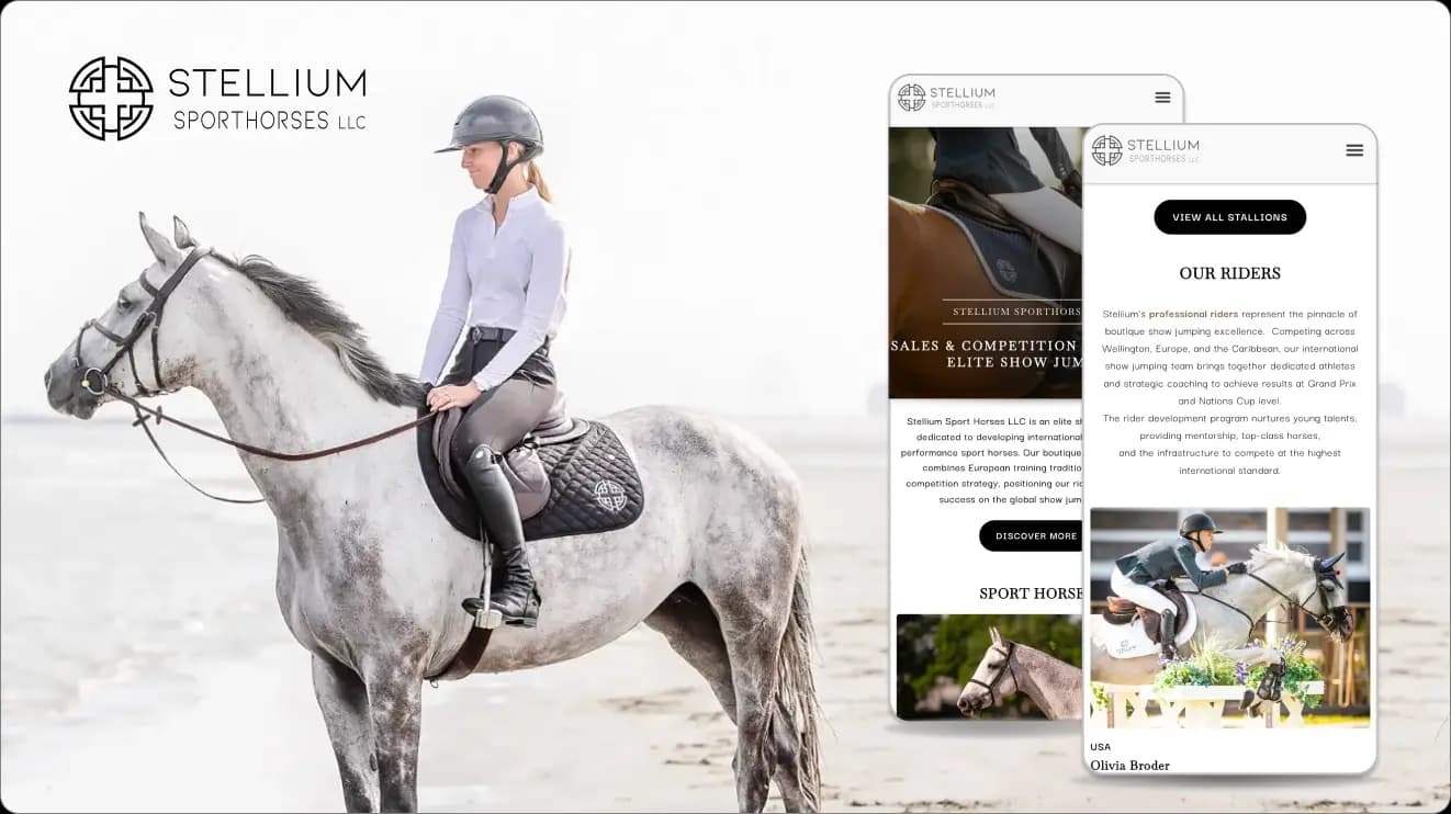 Stellium Sporthorses showcase