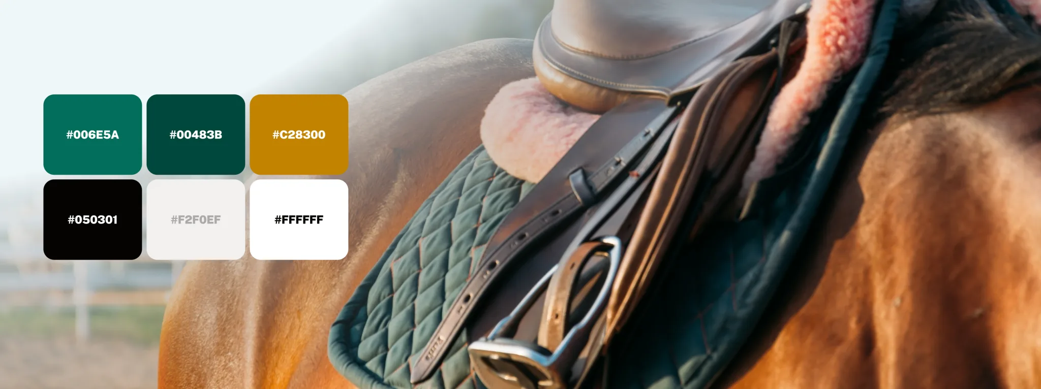 The store's colour palette of greens, gold, black and off-white over a green BOSS saddle pad on a horse