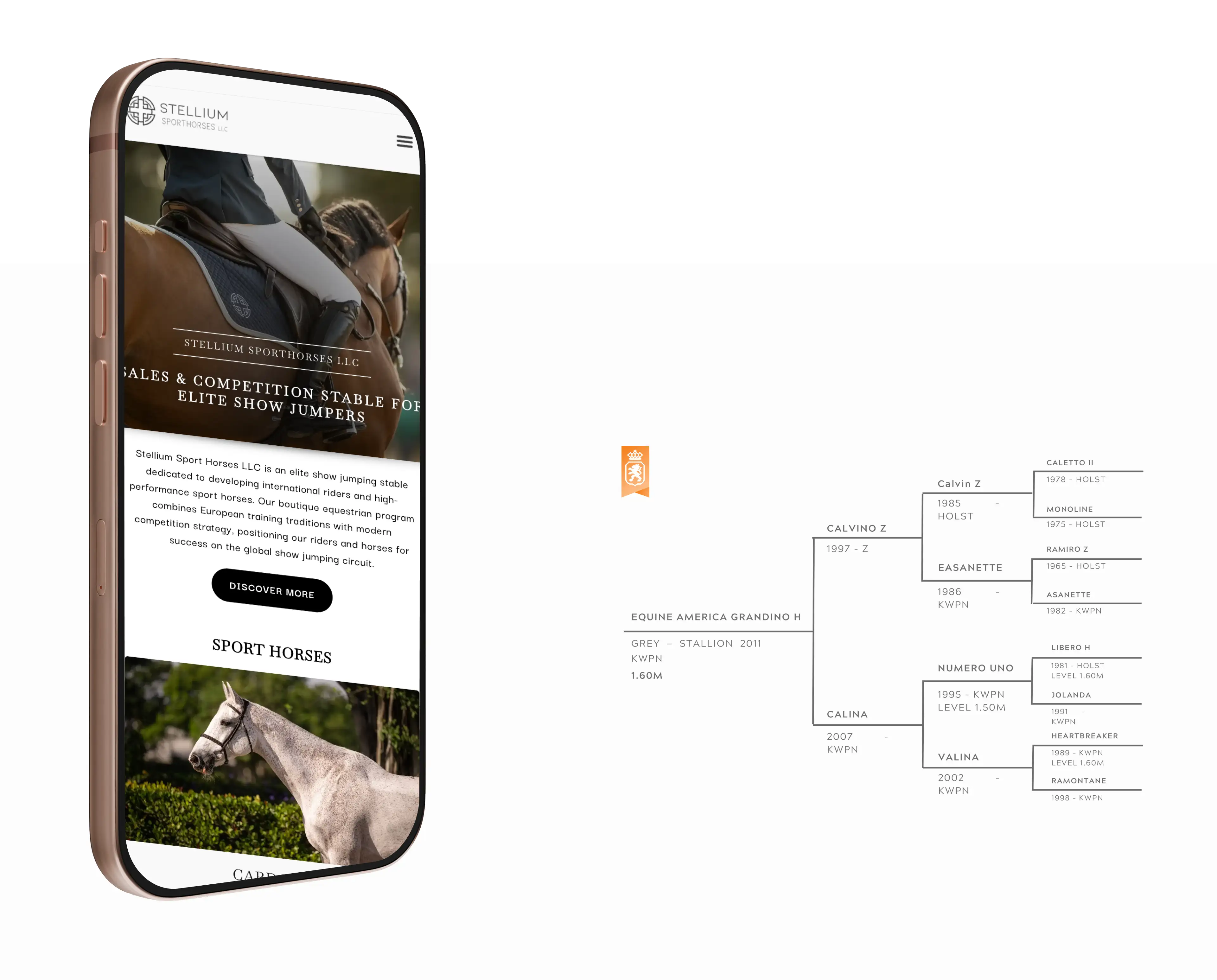 The Stellium Sporthorses website on iPhone beside a horse's pedigree bloodline chart
