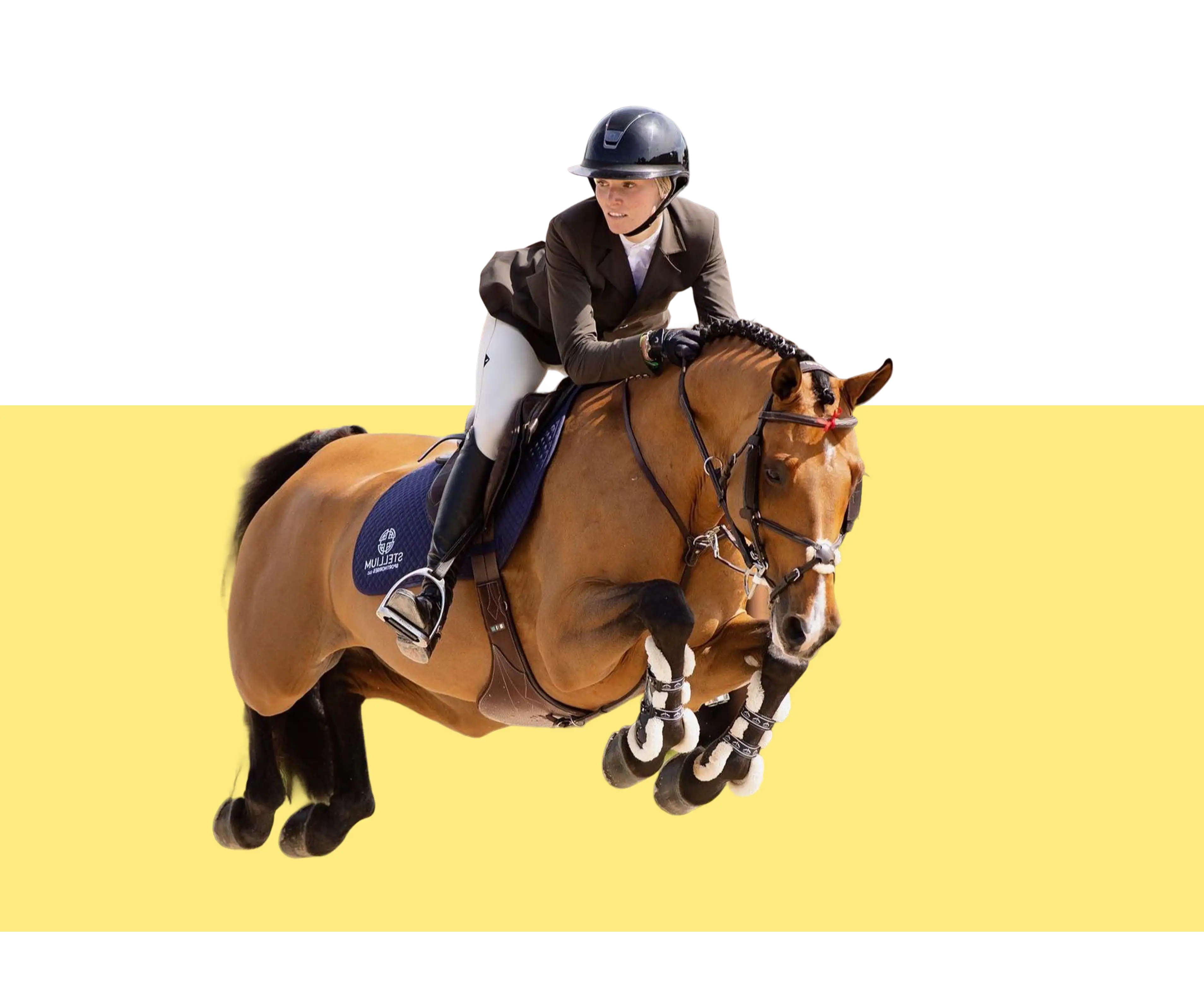 Rider and sport horse clearing a jump, set against the Stellium brand yellow
